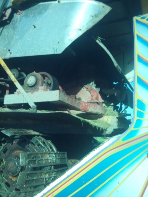 ขายด่วน จ้าวช้างไวไฟปลายปี52 ขายด่วน จ้าวช้างไวไฟปลายปี52