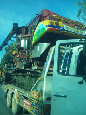 ขายด่วน จ้าวช้างไวไฟปลายปี52 ขายด่วน จ้าวช้างไวไฟปลายปี52