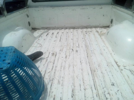 **95,000 บ.ต่อรอง**ขายกระบะแค็ปสภาพดี ราคาเบาๆ TOYOTA ไมตี้เอ็ก 2.5ปี35/92 เครื่องเดิมเกียร์เดิม เครื่องดี แรงดี แน่นดี เกียร์ดีไม่หลุด ช่วงล่างดี แน่นไม่ส่าย คัสซีสวยเดิมไม่ปะไม่ดาม กระบะดีไม่ผุพื้นกระบะลอนยังสวย ด้านข้างมีเบียดฝั่งซ้ายรถมาหน่อย หน้า-หลั