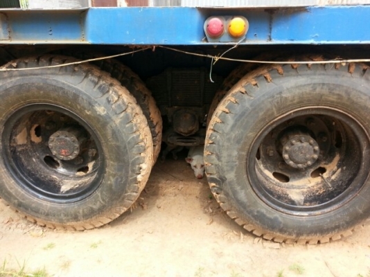 ขายKT925 เครื่องEH700 เครื่องดี แคชซี สภาพพร้อมใช้งาน เอกสารพร้อมโอน สนใจโทร 090-8588220คุณนะ หรือ www.truck.in.th/498 ID:narong498