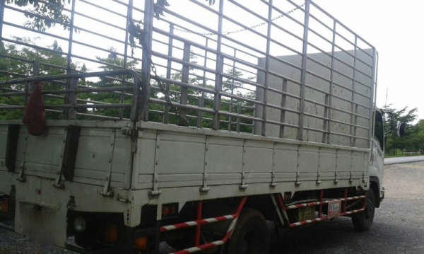 รถอีซูซุ  6 ล้อ รั้ว ( ไม่ดั้ม )  210 แรงม้า. ปี 56 ( รถวิ่ง 76,000 กม. )  ( ราคาลด เหลือ  320,000. )    สนใจติดต่อ 081 - 6079515