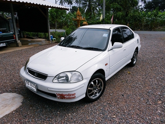 ขายแล้ว