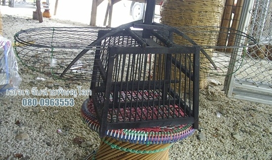 เพนียดต่อนก อุปกรณ์จับสัตว์ เครื่องจักสาน ปืนอัดลมพร้อมอุปกรณ์