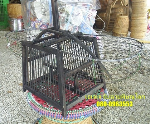 เพนียดต่อนก อุปกรณ์จับสัตว์ เครื่องจักสาน ปืนอัดลมพร้อมอุปกรณ์