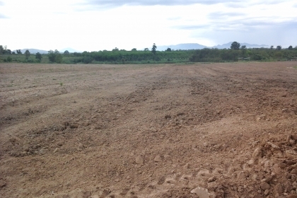 ที่ดิน80ไร่