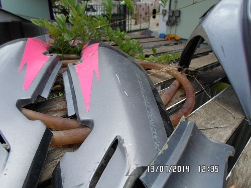 HONDA NSR 150 2คัน 6000 บาท ด่วนๆ HONDA NSR 150 2คัน 6000 บาท ด่วนๆ