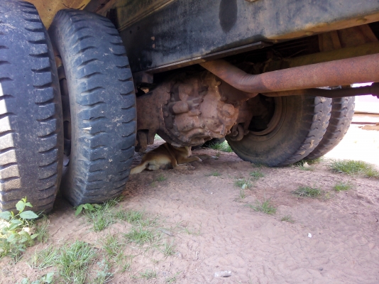 ขายด่วน ฟูโซ่ 527 สองเพลา ดั้ม สภาพพรอ้มใช้