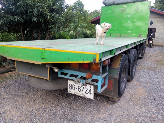 ขายด่วนคับฟูโช่ 515 พื้นเรียบ สภาพพร้อมใช้