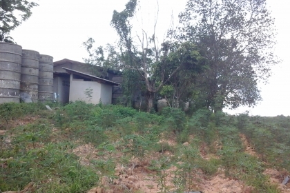 ที่ดิน80ไร่