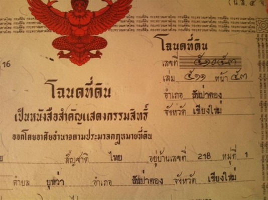 ขายที่เชียงใหม่ สันป่าตอง