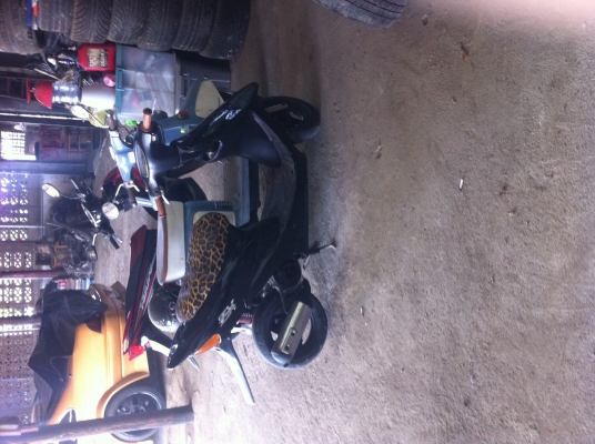 ด่วนนนนdioZXดิสหน้า8800