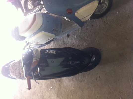 ด่วนนนนdioZXดิสหน้า8800