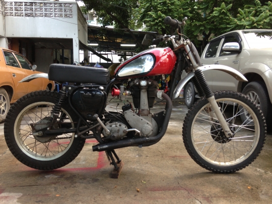 ขาย ฺBSA