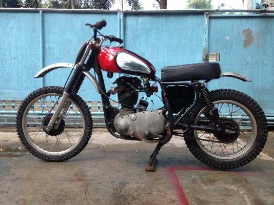 ขาย ฺBSA