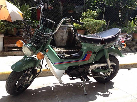 ชาลีเดิมๆ สีสวย ปรับราคาลง