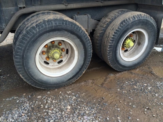 ขายจำโบ้คัสซีใหญ่ 2 เพาดั้มคัสสวยตลอดเส้น