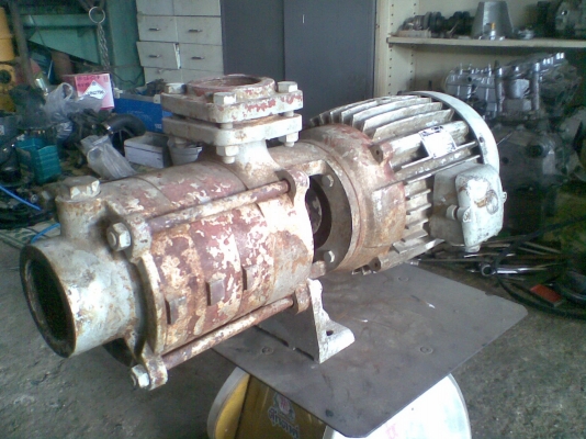 ขายมอเตอร์ปั๊มน้ำแรงดันสูง ขายมอเตอร์ปั๊มน้ำแรงดันสูง