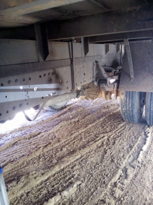 ขาย  หกล้อ  NKR 130 ปี 48   ยาว 4.3 เมตร