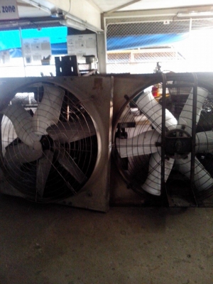 ขายพัดลม 50"ไม่มีมอเตอร์ขาย 3000฿