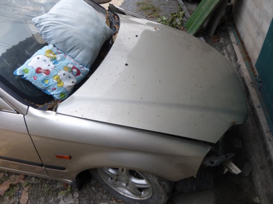 ขายซาก Civic ตาโต สีทอง สภาพตามในรูปไม่มีเครื่อง พร้อมเล่ม ถูกมาก