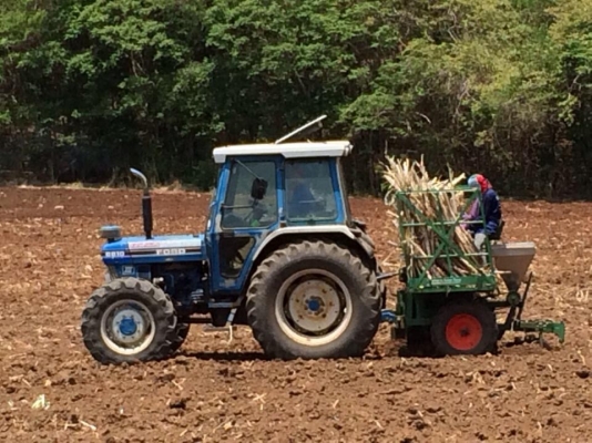 ขายด่วนรถไถฟอร์ด