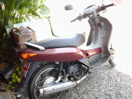 นูโวสวยๆเดิมๆ