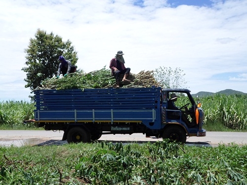 (จองโอนเงินมา10000แล้ว)ขอบคุณ truck2hand ครับ ไปส่งด่านช่องจอม สุริน