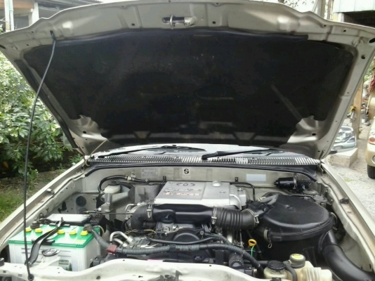 ไทเกอร์2500ตัวอีครับ ไทเกอร์2500ตัวอีครับ