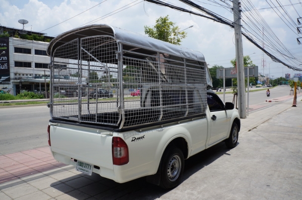 ISUZU D-MAX ตอนเดียว ปี 2008 ขายรถสวย พวงมาลัยพาวเวอร์ มีหลังคาสูงพร้อมใช้ เครื่องเดิมๆ ช่วงล่างแน่น แอร์เย็นๆ สีสวย ภายในสภาพสวย รถพร้อมใช้งาน จัดไฟแนนได้ ISUZU D-MAX ตอนเดียว ปี 2008 ขายรถสวย พวงมาลัยพาวเวอร์ มีหลังคาสูงพร้อมใช้ เครื่องเดิมๆ ช่วงล่างแน่น แอร์เย็นๆ สีสวย ภายในสภาพสวย รถพร้อมใช้งาน จัดไฟแนนได้