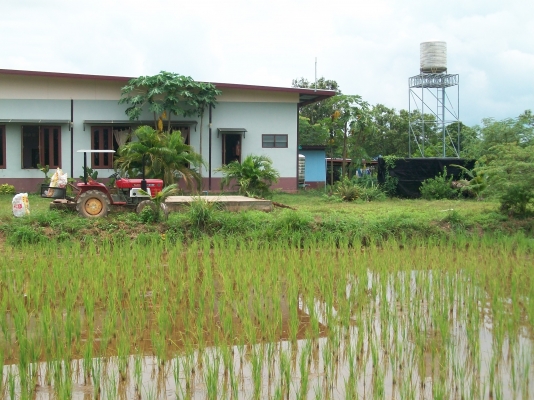 ขายรถไถเล็ก15แรงม้า3สูบใช่ดีจริงๆพร้อมโรตารี้1.20เมตรและกระบะหลังตามรูปครับ