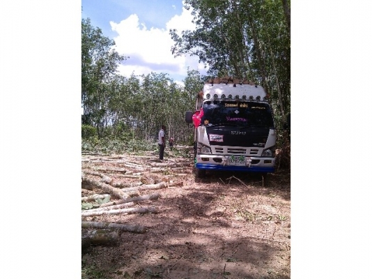 6ล้อดั้มพ์ ISUZU NQR 150แรงม้า รถสวย สภาพดี ใช้งานอยู่ทุกวัน เครื่องดี คัทซีสวย 087-2976734