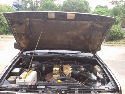 มังกรทอง ยอดประหยัด หน้าตาเดิมๆ ขับทุกวัน พรีอมใช้ 109000