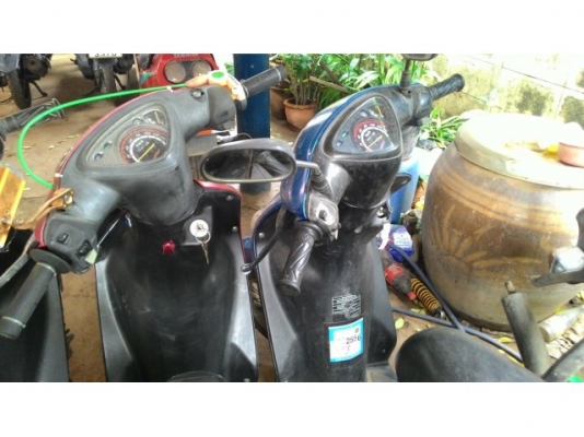 มีโอเก่า สามคัน