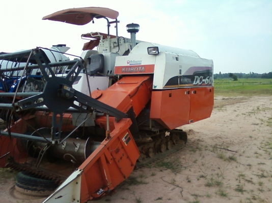 ขายไมตี้ แคป ปี 36 อยู่สารคาม ขายไมตี้ แคป ปี 36 อยู่สารคาม