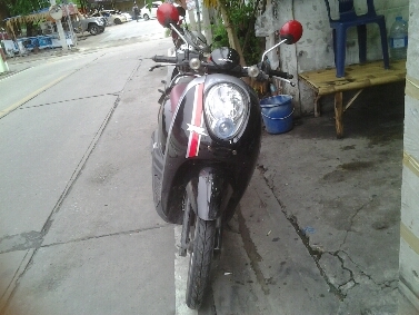 สกุบปี้iปี2553