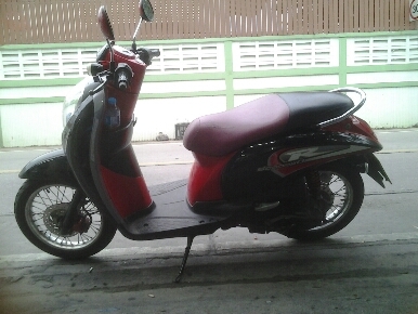 สกุบปี้iปี2553