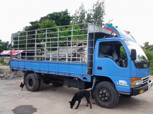 ต้องการขายรถอีซูซุปี48..120แรงเครื่องดีคัชซีสวยสภาพพร้อมใช้สนใจติดต่อเจ้าของด่วน ต้องการขายรถอีซูซุปี48..120แรงเครื่องดีคัชซีสวยสภาพพร้อมใช้สนใจติดต่อเจ้าของด่วน