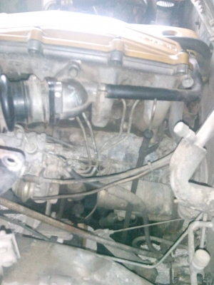 ขายเครื่อง 4ja1 พร้อมเกีย ว่างอยู่ในอีซุซุ TFR 4 ประตู เครื่องยังไม่ได้ยกลง ขาย 29500 บาท เครื่องมีใบ สนใจรองเครื่องได้ ขายเครื่อง 4ja1 พร้อมเกีย ว่างอยู่ในอีซุซุ TFR 4 ประตู เครื่องยังไม่ได้ยกลง ขาย 29500 บาท เครื่องมีใบ สนใจรองเครื่องได้