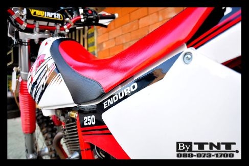 &lt;TNT&gt;ขาย YAMAHA  TTR 250 cc.( ENDURO ) 1สูบ ปี95 /ทะเบียนแท้/..สวยๆ&gt;&gt;&gt;คับ