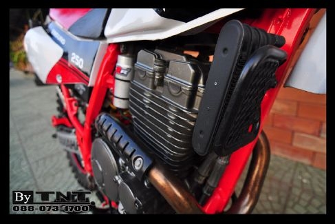 &lt;TNT&gt;ขาย YAMAHA  TTR 250 cc.( ENDURO ) 1สูบ ปี95 /ทะเบียนแท้/..สวยๆ&gt;&gt;&gt;คับ