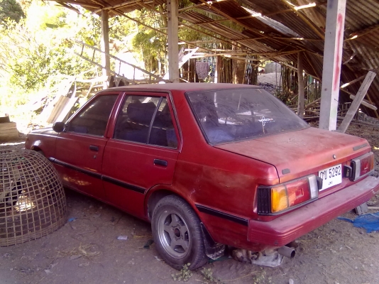 ขายด่วน หรือแลกควายแม่ลูกหรือวัวก็ได้