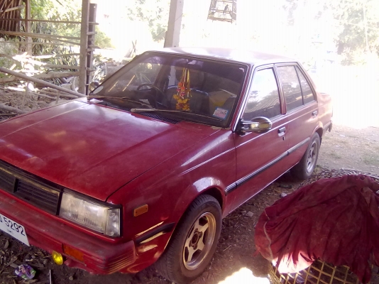 ขายด่วน หรือแลกควายแม่ลูกหรือวัวก็ได้