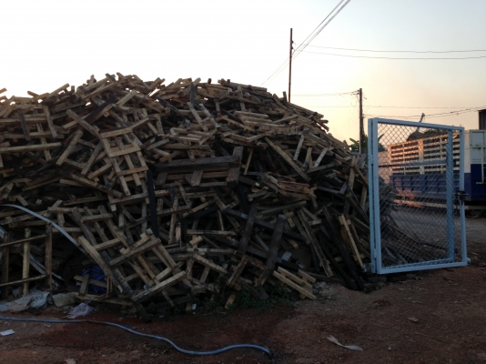 ขายไม้ยาง