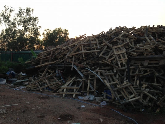 ขายไม้ยาง