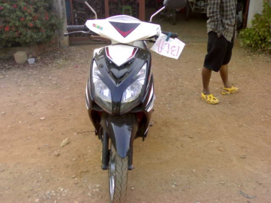 มีโอตาโตปี50เเปลงสองตา