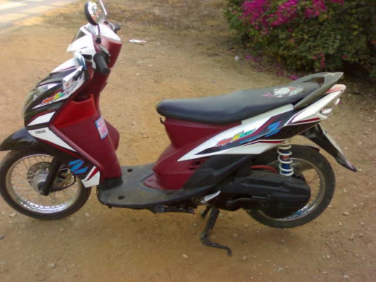 มีโอตาโตปี50เเปลงสองตา