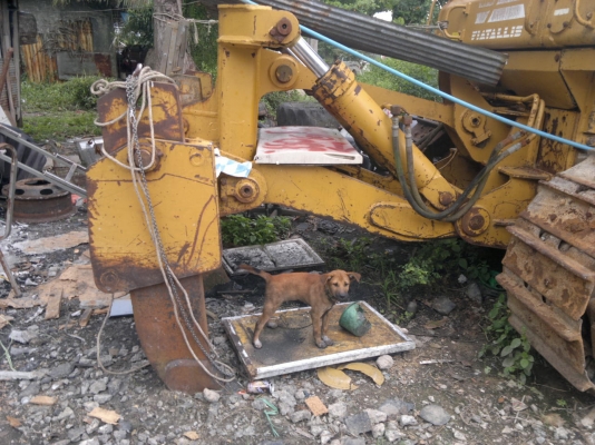 ..................................................................................................................................