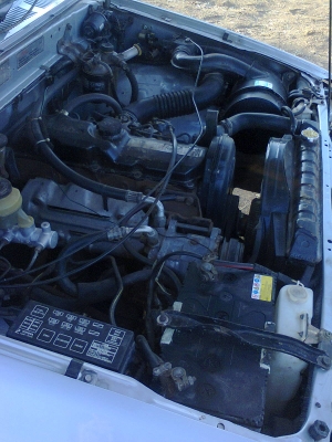 ขายไมตี้ x ปี  35