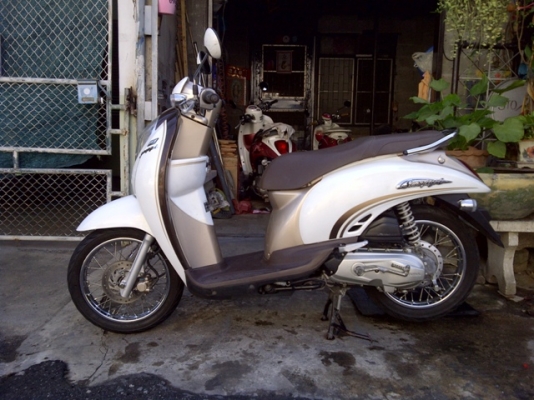 ขาย Honda Scoopy i ขาว-น้ำตาล วิ่งน้อย 24500 บาท ลดได้ ขาย Honda Scoopy i ขาว-น้ำตาล วิ่งน้อย 24500 บาท ลดได้