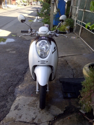 ขาย Honda Scoopy i ขาว-น้ำตาล วิ่งน้อย 24500 บาท ลดได้ ขาย Honda Scoopy i ขาว-น้ำตาล วิ่งน้อย 24500 บาท ลดได้